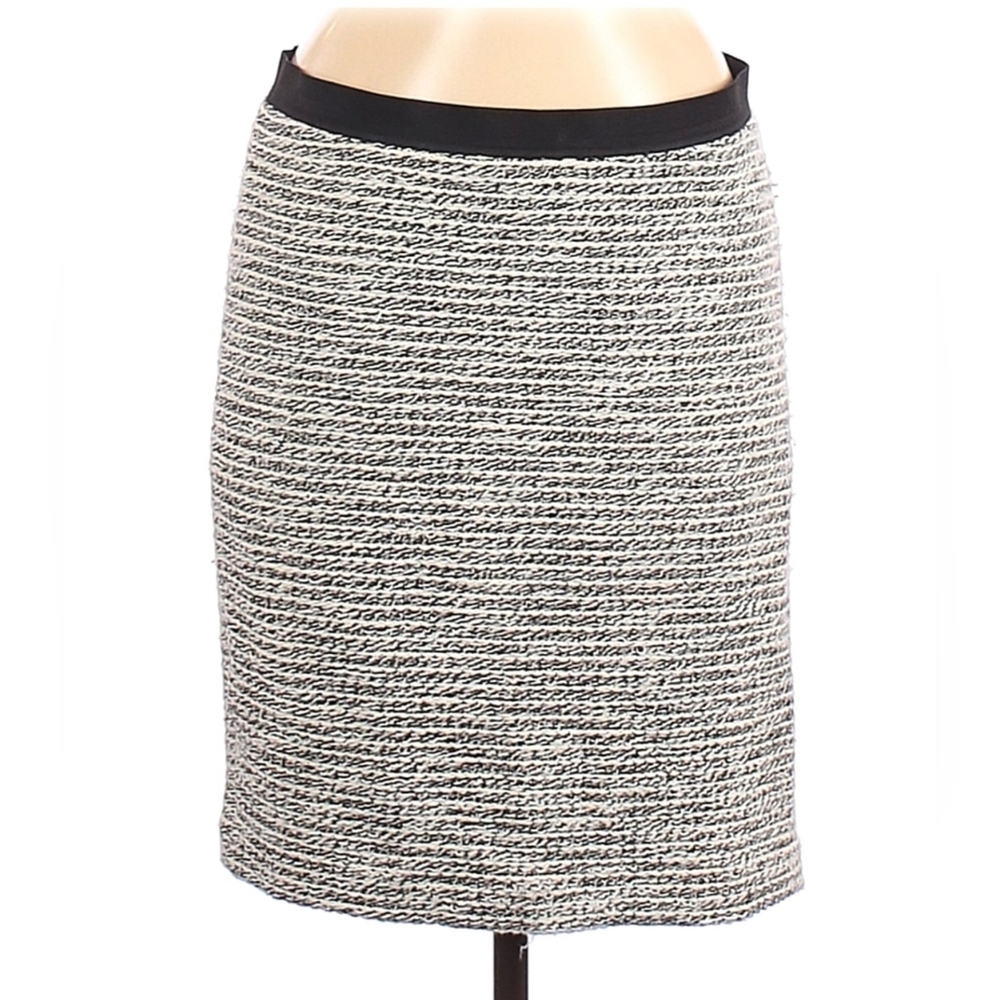 Ann Taylor LOFT Skirt